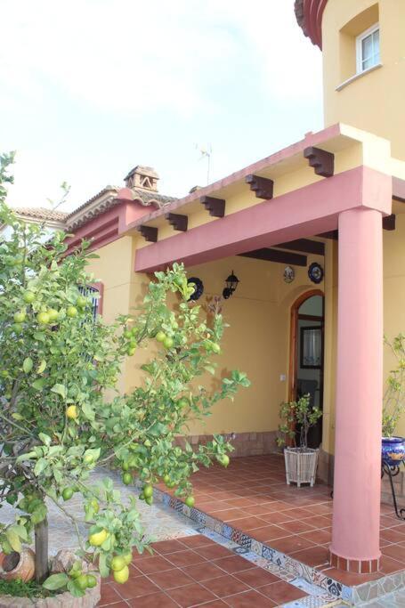 Casa 4 Dormitorios En Ayamonte Dış mekan fotoğraf